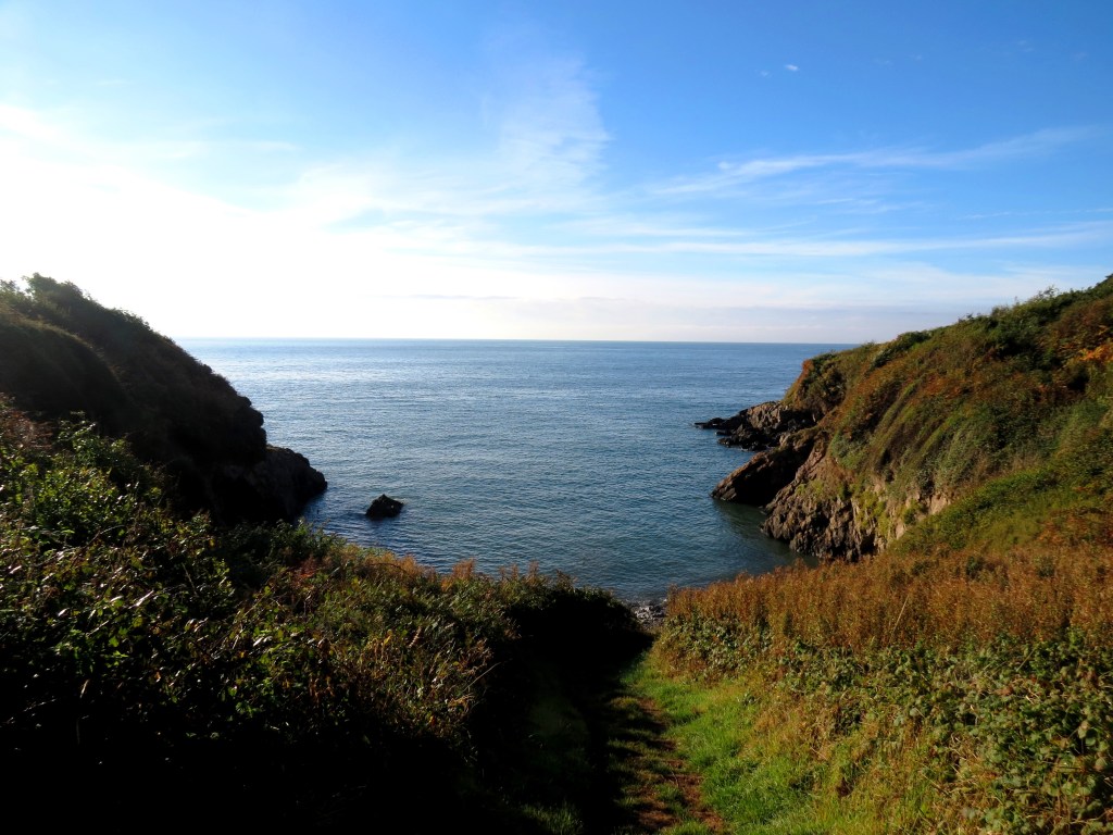 William Hawkin Arthur and the Smugglers of Brandy Cove